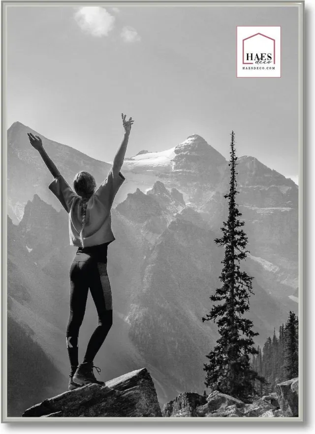 HAES deco Kunststof fotolijst 50x70 zilver Easy Frame - EF8S Zilverkleurig