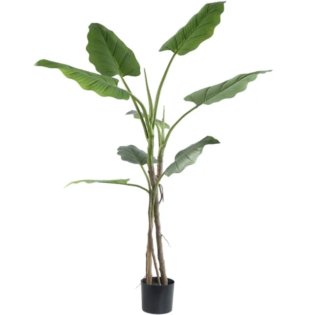 PTMD Leaves Plant Green Big Philodendron In Black Pot Groen