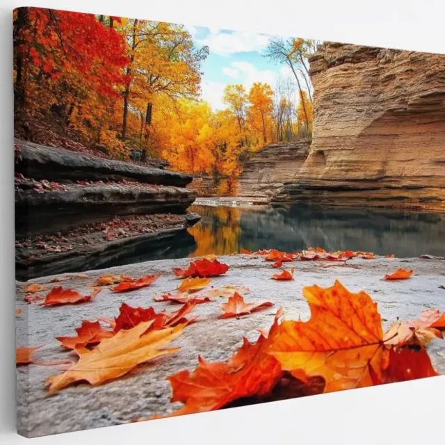 Saammp Canvas Schilderij - Rode Bladeren op steen - Natuur - Landschap - 30x20 - Foto op canvas - Wanddecoratie - Muurdecoratie Woonkamer - Slaapkamer decoratie - Canvas Print Multicolor
