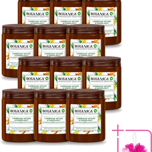Air Wick 12 x Botanica by Air Wick - Geurkaars - Vetiver & Sandelhout - 40 Uur Brandduur - Bulkverpakking - Geurkaars vetiver sandelhout - Douchemop - Vetiver geur Bruin
