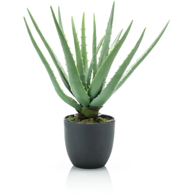 Emerald Kunstplant in pot Aloe Vera 35cm - Kunstplant voor binnen Groen