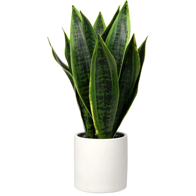 Unyqoos Decoratieve kunstplant Sansevieria in stijlvolle keramische pot voor elk interieur Wit