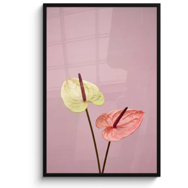 FrameYourWall Poster in lijst - Fotolijst 80x120 cm - Posters - Bloemen - Anthuriums - Geel - Roze - Posterlijst zwart - Decoratie - Wanddecoratie woonkamer - Muurdecoratie slaapkamer