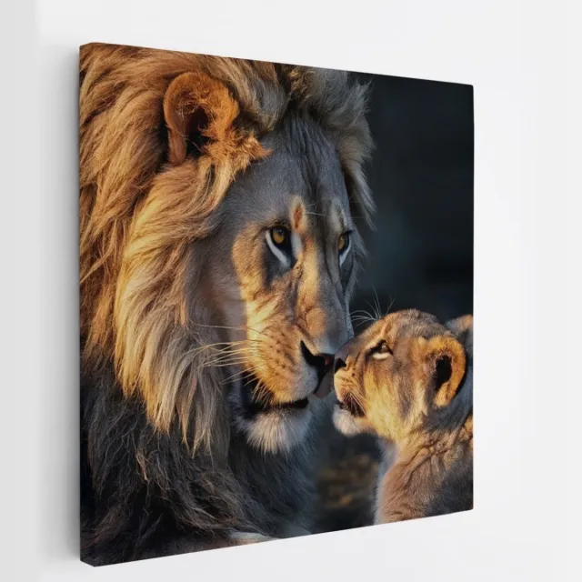 Saammp Canvas Schilderij - Leeuw met welp - Liefdevol - Dieren - Natuur - 60x60 - Foto op canvas - Wanddecoratie - Muurdecoratie Woonkamer - Slaapkamer decoratie - Canvas Print Multicolor