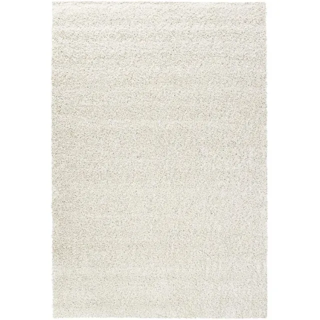 Budget Home Store Vloerkleed Teun wit