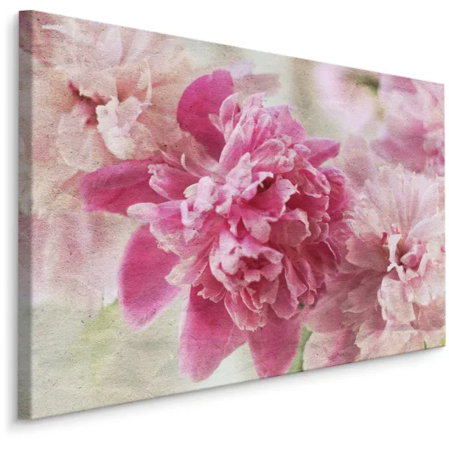 karo-art Schilderij - Prachtige roze rozen, eyecatcher in uw huis, wanddecoratie Multikleur