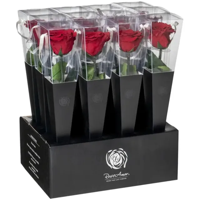 Four Reasons four seasens - eeuwige roos - Rose Amor- Longlife echte rozee roos 30cm - doorzichtige cadeau koker - cadeau - liefde cadeau rood
