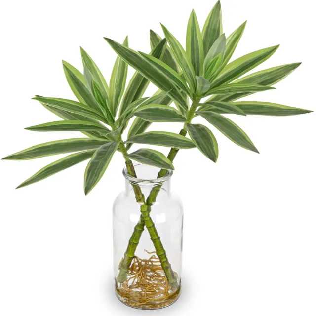 Unyqoos Levensechte Dracaena Kamerplant in Stijlvolle Glasvaas voor Interieurdecoratie, groente, 36 cm