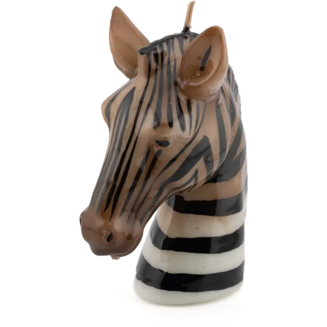 homebound by ky Kaars zebra Bruin