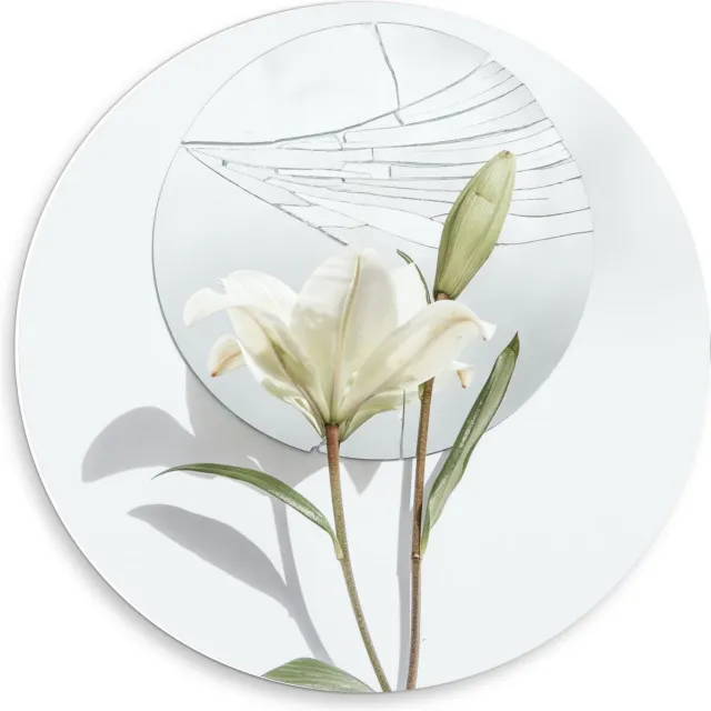 KuijsFotoprint Forex Wandcirkel - Schildering van Bloem op Witte Achtergrond met Rondje - 50x50cm Foto op Wandcirkel (met ophangsysteem) Groen