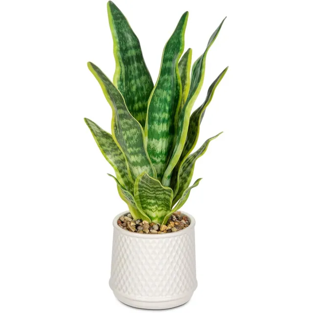 Unyqoos Decoratieve kunstplant Sansevieria in stijlvolle keramische pot voor elke ruimte Geel