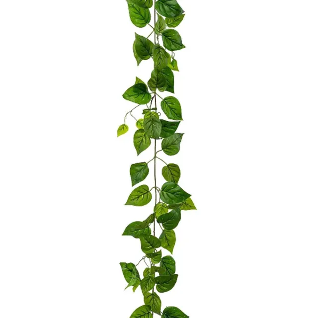 Gasper Filodendronslinger Groen 210 cm