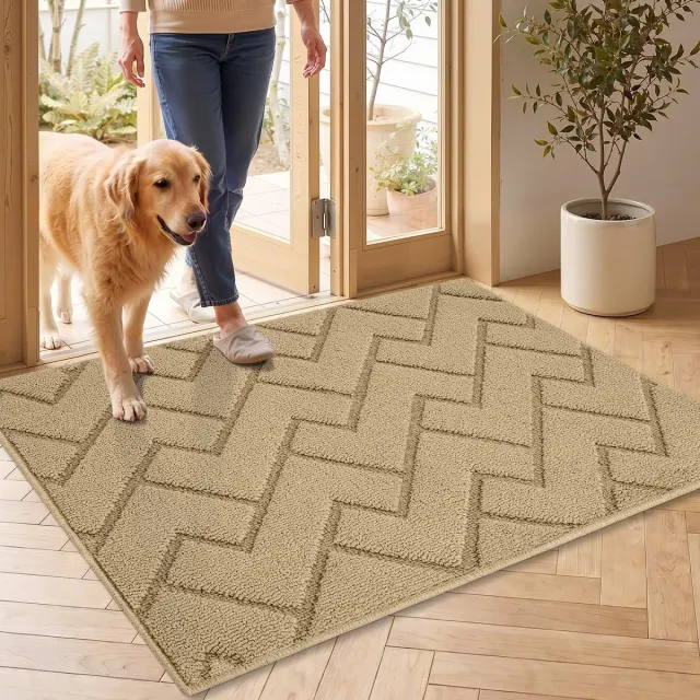 Famanu Deurmat voor binnen met microvezeloppervlak, antislip en wasbaar, perfect voor entree en gang, 60x90 cm Transparant