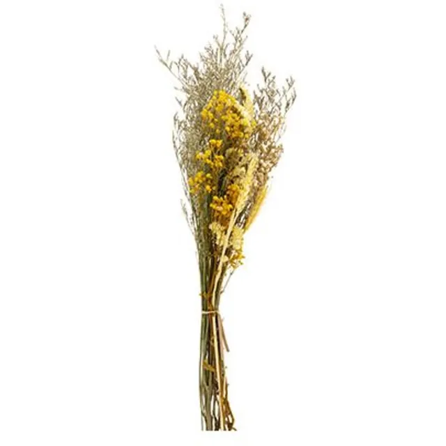 Cosy @ Home Boeket Dried Flowers Geel 27x13xh60cm