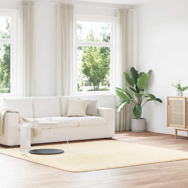 vidaXL Hoogpolig vloerkleed NAVARRA 240x240 cm polyester crèmekleurig, foto 2