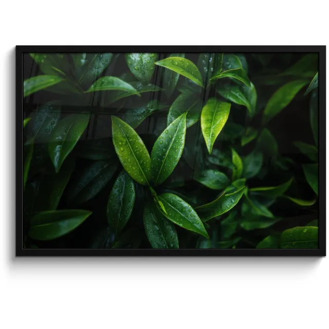 FrameYourWall Poster in lijst - Fotolijst 90x60 cm - Posters - Bladeren - Regendruppels - Licht - Groen - Posterlijst zwart - Decoratie - Wanddecoratie woonkamer - Muurdecoratie slaapkamer