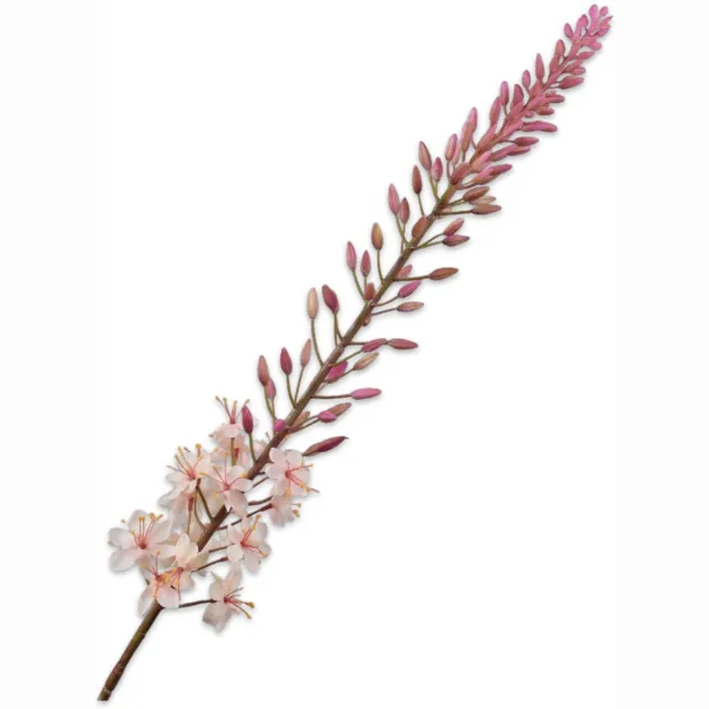 Silk-ka Kunstbloem-Zijden Bloem Eremurus Steel Zalm-Roze 107 cm