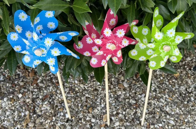 Impuls Set van 3 windmolens - kunststof+houten steker "bloem motief"- meerkleurig - blauw/roze/groen - dia 17 cm x hoogte 48 cm - Tuinaccessoires - tuinstekers Meerkleurig - bloem motief - blauw/roze/groen