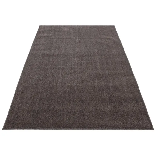 TapisTrend Designer tapijt Mocca Binnenkleed voor de woonkamer, zachte textuur, modern design, natuurlijke uitstraling, Scandinavische stijl