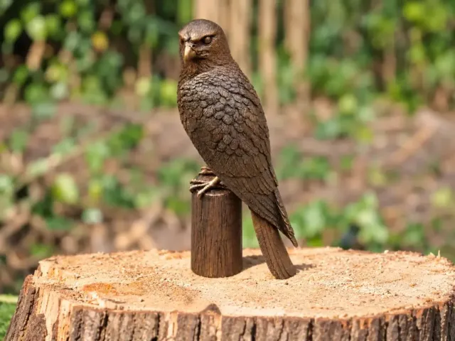 Bronzartes Bronzen beeld / slecht valk / vogel / valk / tuinbeeld