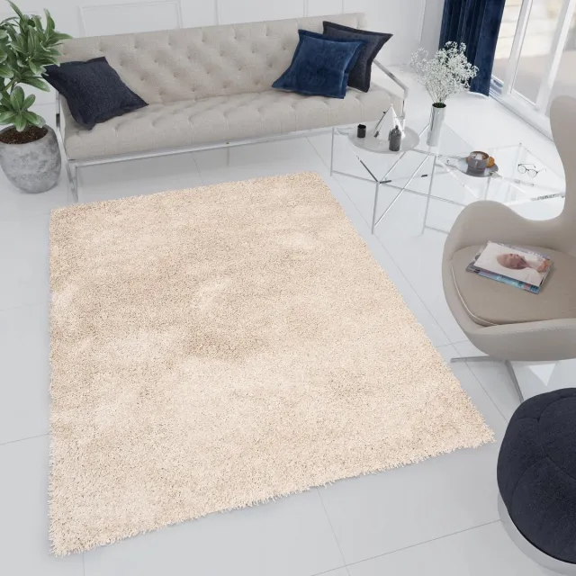 Tapiso Essence Vloerkleed Hoogpolig Beige Shaggy Tapijt Maat- 200x300