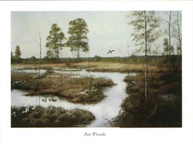 Verkerke poster Verkerke Jan Wessels - Returning Mallards 80 x 60 cm diverse kleuren