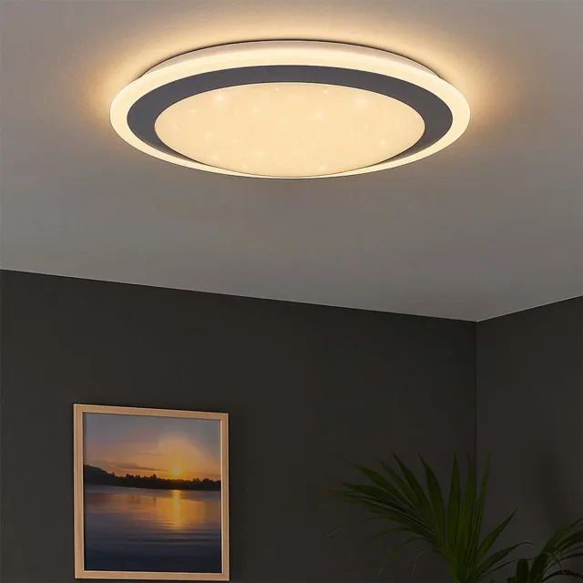Wofi Plafondlamp met sterrenhemel LED plafondlamp Slaapkamerlamp LED, metaal acryl, 11W 700Lm warm wit, DxH 34x8,5 cm, WOFI 912101066340 zilver