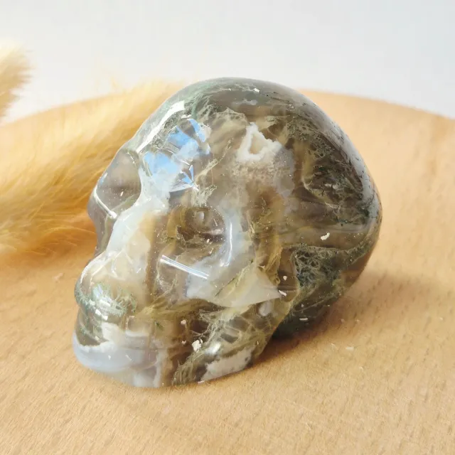 Moonlight Gemstones Mosagaat Skull Carving #4 | 5–6 cm Geslepen Edelsteen Meerkleurig