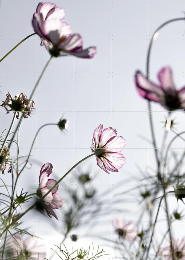 IXXI Wild Flowers, Mareike Böhmer - 100 x 140 cm - Grote wanddecoratie en posters - Fotografie, Slaapkamer, Woonkamer, Eetkamer, Gang, Wilde Bloemen Roze / Grijs