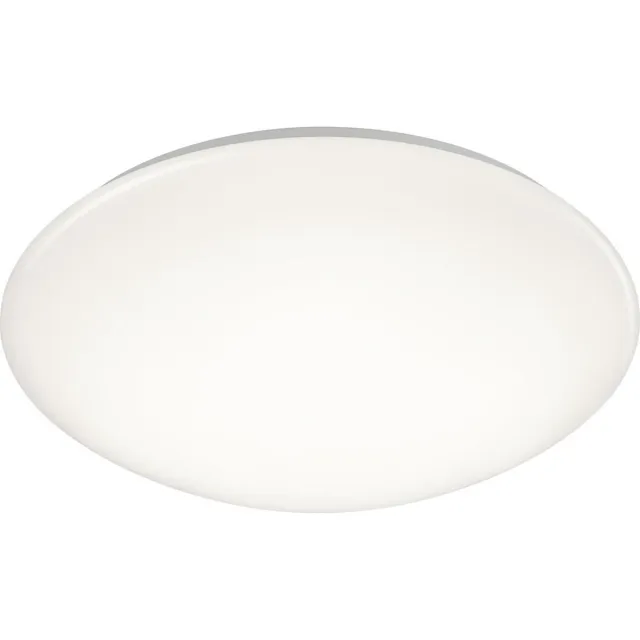 RL LIVE YOUR LIGHT REALITY PUTZ - Plafondlamp - Wit - incl. 1x SMD 15W - D: 37cm - IP44