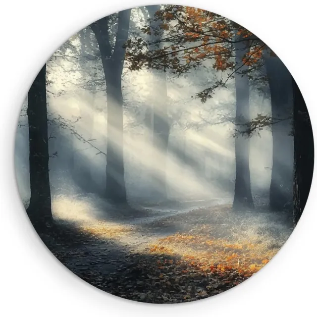 Saammp Forex Muurcirkel - Natuur - Bos met paarse bloemen - landschappen - Ø 50 - Wandcirkel - Wanddecoratie Cirkel - Muurdecoratie Woonkamer - Slaapkamer decoratie - Rond Schilderij