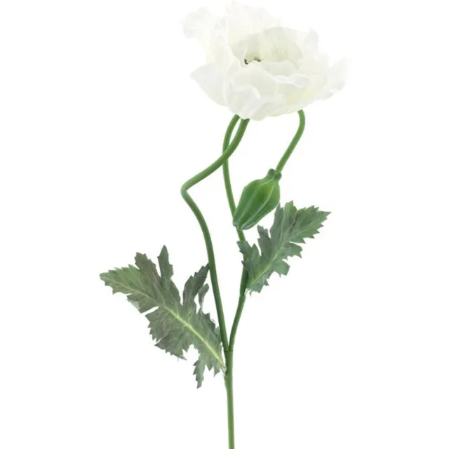 Erutan avon Poppy spray Casper cream 73 cm onbekend