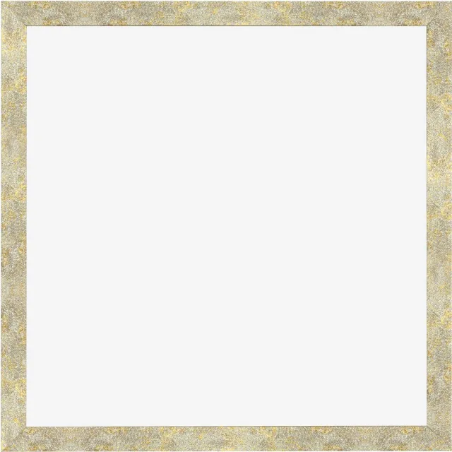 Dutch Frame Factory Fotolijst 60x60 cm - MDF - Zilver-Goud Hamerslag - Benno