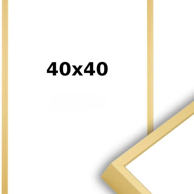 Lichtendonk Aluminium Wissellijst 40 x 40 Mat Champagne Goud - Helder Glas - Professional