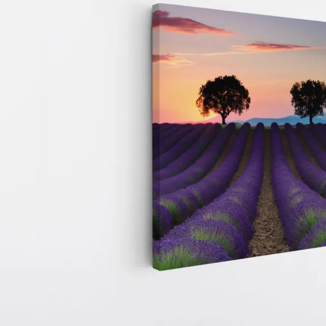 Saammp Canvas Schilderij - Kleurrijk Lavendelveld met bomen - Natuur - Landschap - 30x30 - Foto op canvas - Wanddecoratie - Muurdecoratie Woonkamer - Slaapkamer decoratie - Canvas Print Multicolor