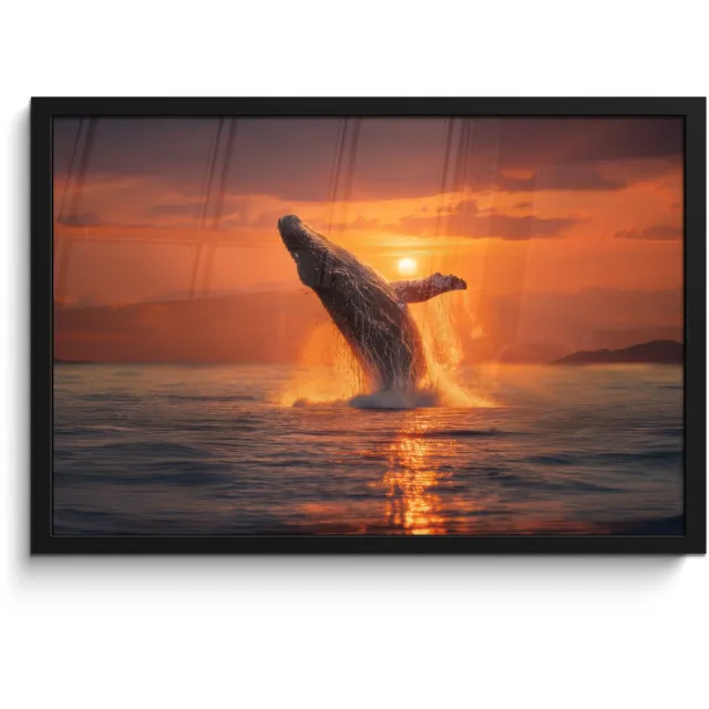 FrameYourWall Poster in lijst - Fotolijst 60x40 cm - Posters - Walvis - Zon - Zee - Posterlijst zwart - Decoratie - Wanddecoratie woonkamer - Muurdecoratie slaapkamer