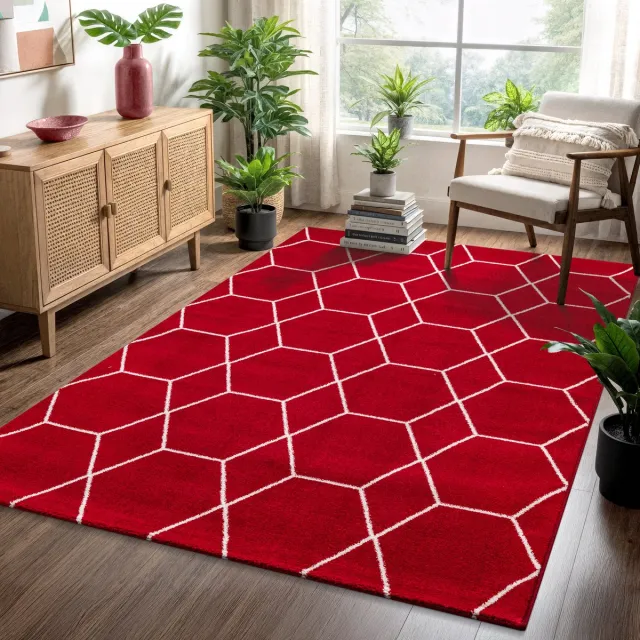 Muratap Trellis Uni Laagpolig Vloerkleed Rood- 120x170 CM