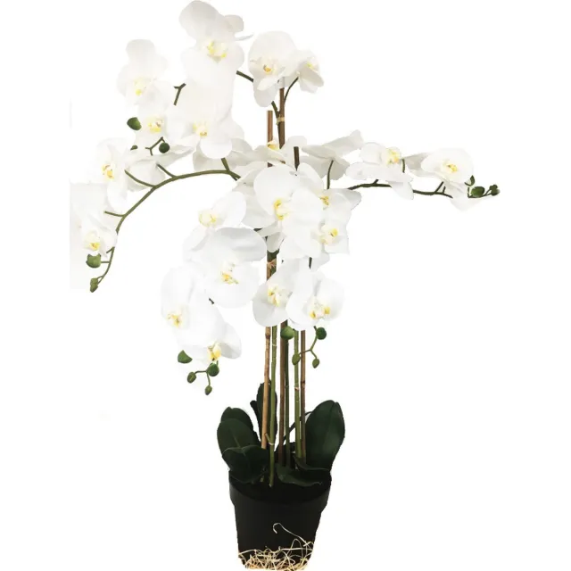 HEM Grote Levensechte Kunst Orchidee / Phlaenopsis plant 100 cm met pot ( 5-taks vol bloemen) kleur Wit - Kunstplant Groen