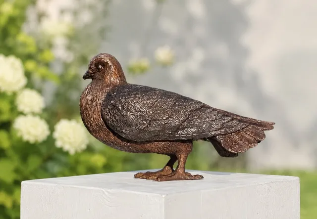 Bronzartes DUIF / Bronzen dierenbeeld / vogel / postduif BRUIN