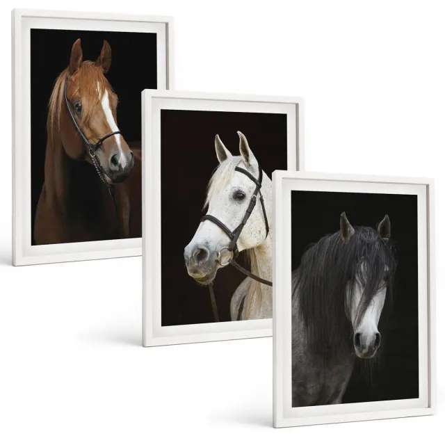TULUP 3-Delige Schilderij Set - Portretten van paarden in verschillende vachtkleuren - 40x60 - Decoratieve Muurdecoratie - Slaapkamer - Stijlvolle Muurdecoratie Witte lijst