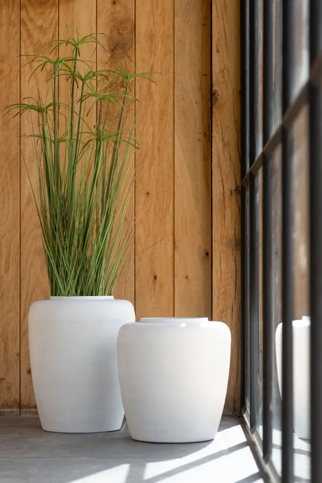 J-Line plant Cyperus alternifolius 5 koppen in pot - kunststof - groen - small