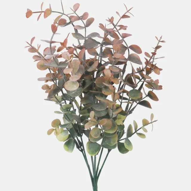 Louis Maes eucalyptus bundel h38cm groen/rood Louis Maes onbekend