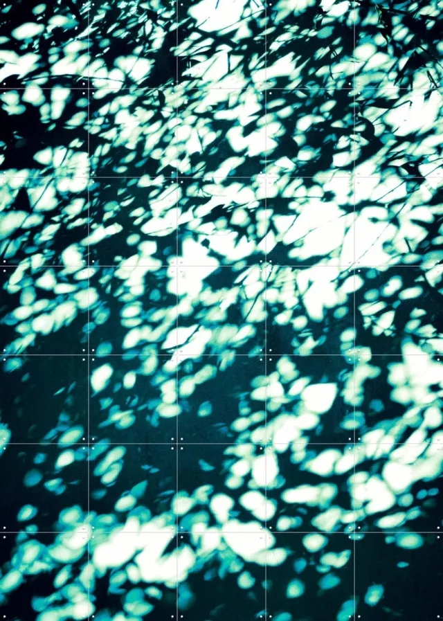 IXXI Wall Shadows Teal, Angelo Cerantola - 100 x 140 cm - Grote wanddecoratie en posters - Modern, Abstract, Surrealisme, Digitale Kunst, Speels Groen / Blauw / Zwart