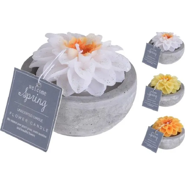H&S Decoration Kaars - bloemkaarsen in cementen Pot per 3 stuks - kaars - decoratie woonkamer wit/geel/oranje