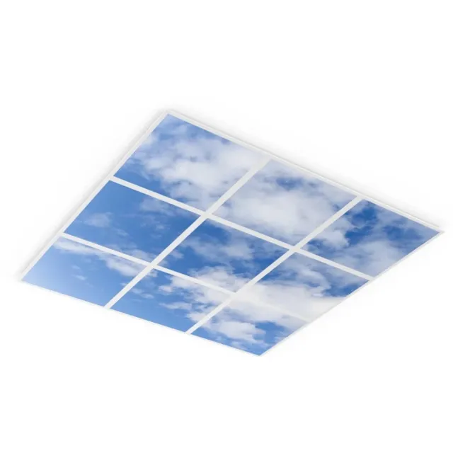 Ledvance LED Paneel 60X60CM | 297W 32670lm 8 | IP40 DALI Dimbaar Wit