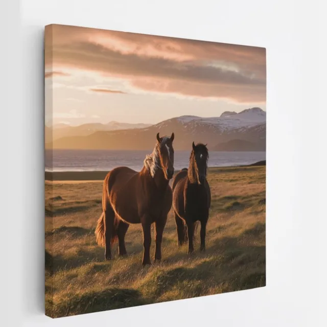 Saammp Canvas Schilderij - Paarden in de wei - Dieren - Natuur - 30x30 - Foto op canvas - Wanddecoratie - muurdecoratie Woonkamer - Slaapkamer decoratie - Canvas Print Multicolor