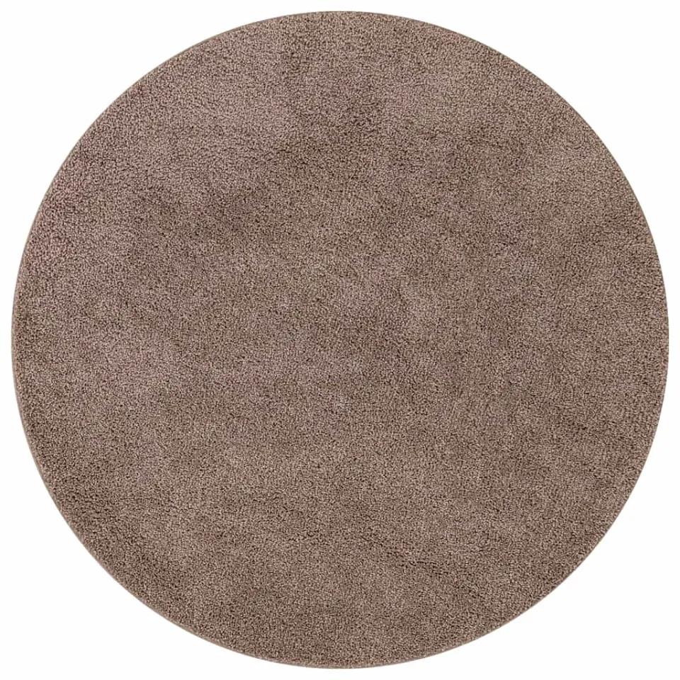 vidaXL Antislip Shaggy Tapijt Bruin 160 x 160 cm PP