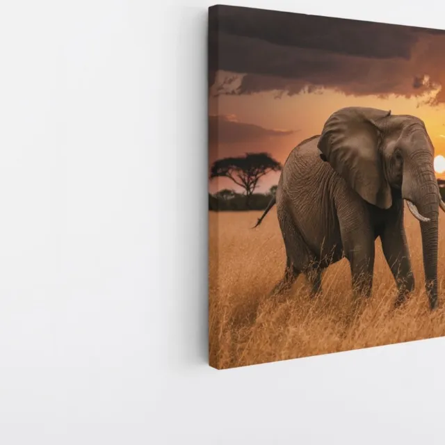Saammp Canvas Schilderij - olifant in de Natuur - Afrika - Dieren - 30x30 - Foto op canvas - Wanddecoratie - muurdecoratie Woonkamer - Slaapkamer decoratie - Canvas Print Multicolor