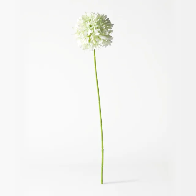 HEMA Kunstbloem allium 55cm wit (wit)
