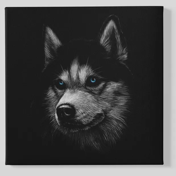 Trendex Global Vierkant Canvas Schilderij - Hond - Husky - Dieren - Print op Canvas - 40x40x2 cm Zwart